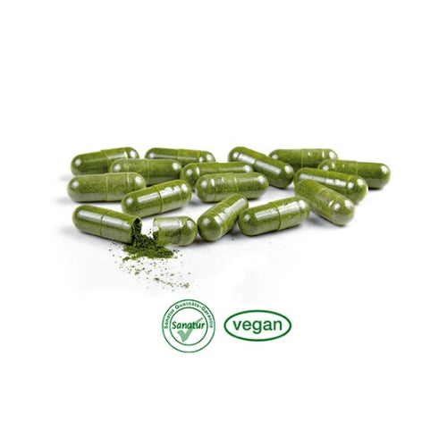 사나투르 아연 스피루리나 아세로라 90캡슐