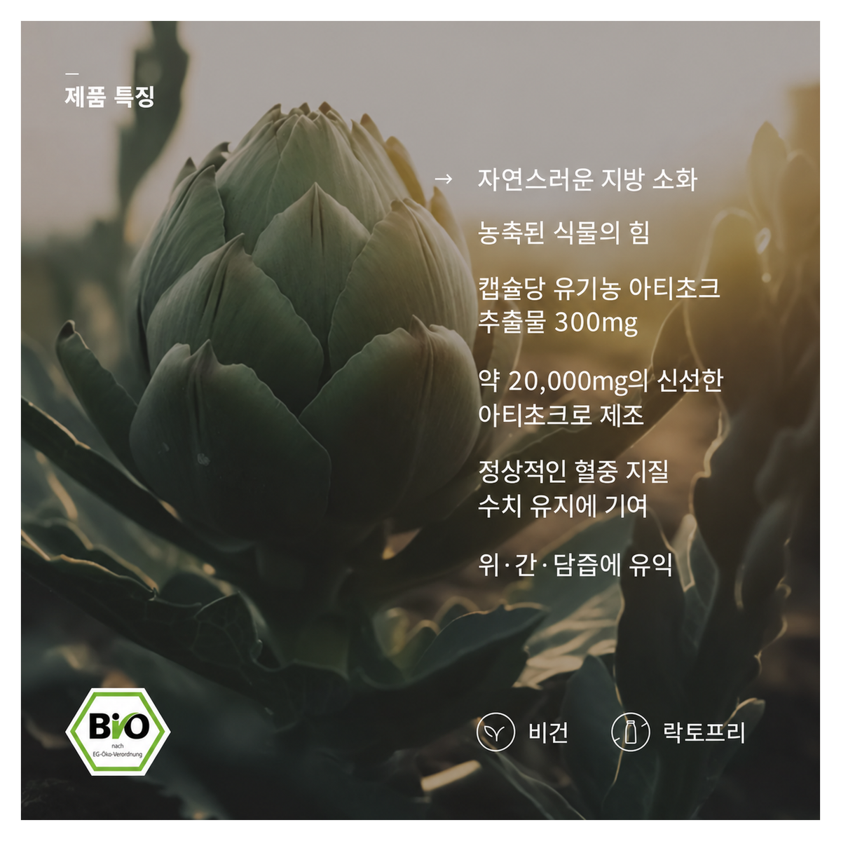 바카나산 유기농 아티초크 100캡슐