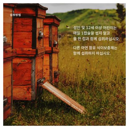 바카나산 히알루론산 400mg 캡슐 30정