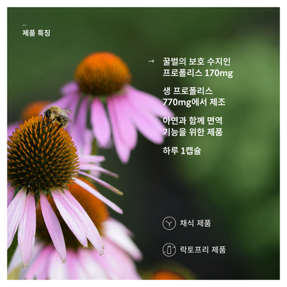 바카나산 히알루론산 400mg 캡슐 30정