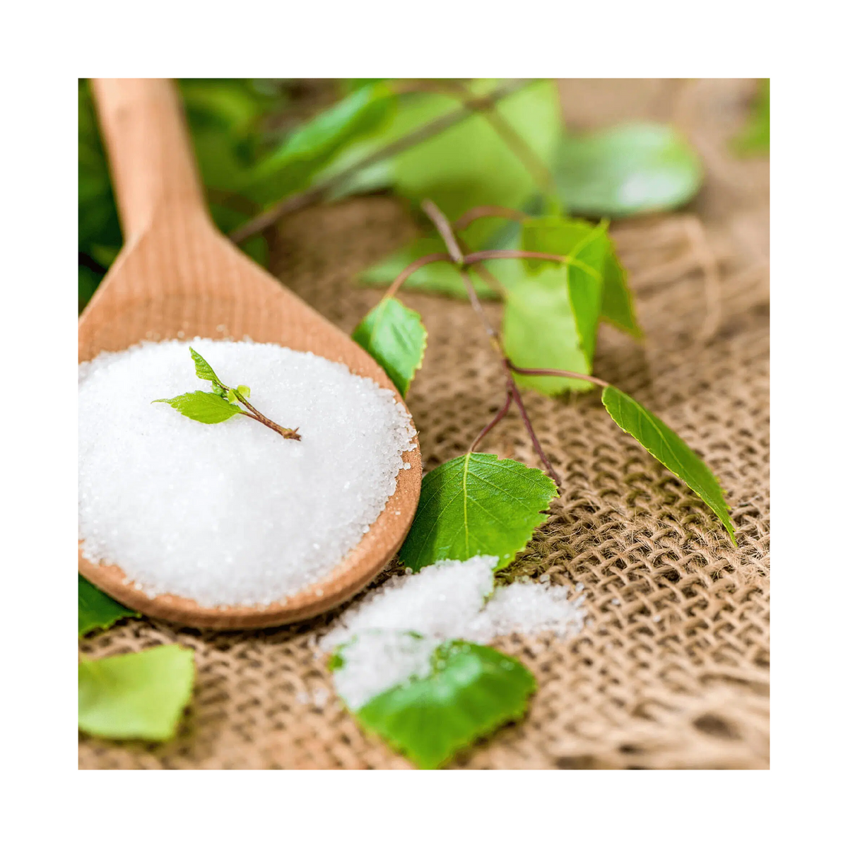 비르켄골드 자일리톨 다크초콜릿 100g